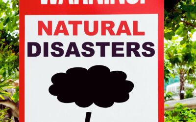Chimney Inspection After a Natural Disaster: Why It’s Essential